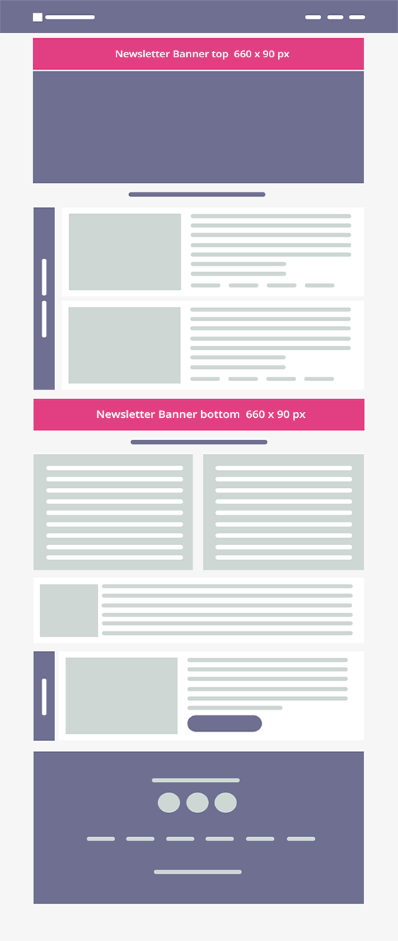 MeQasa Newsletter Layout Mockup